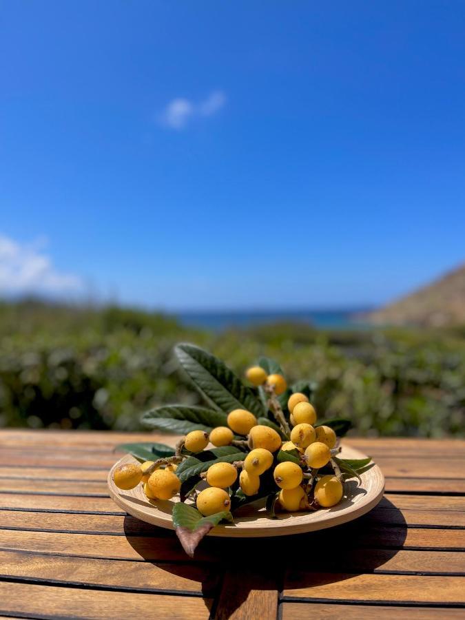 Seaside Studios Arkasa Karpathos Ngoại thất bức ảnh