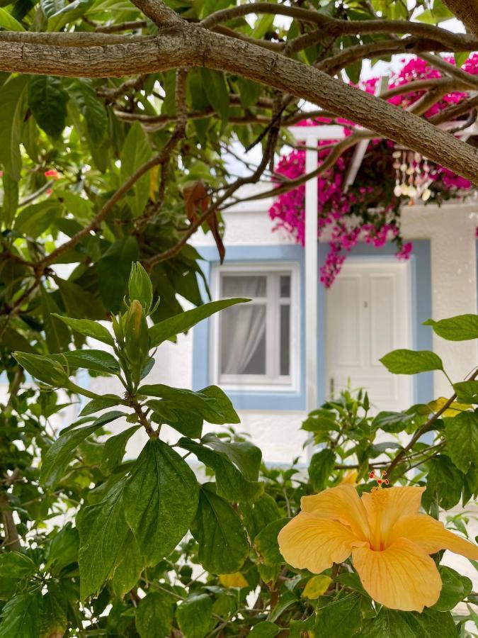 Seaside Studios Arkasa Karpathos Ngoại thất bức ảnh